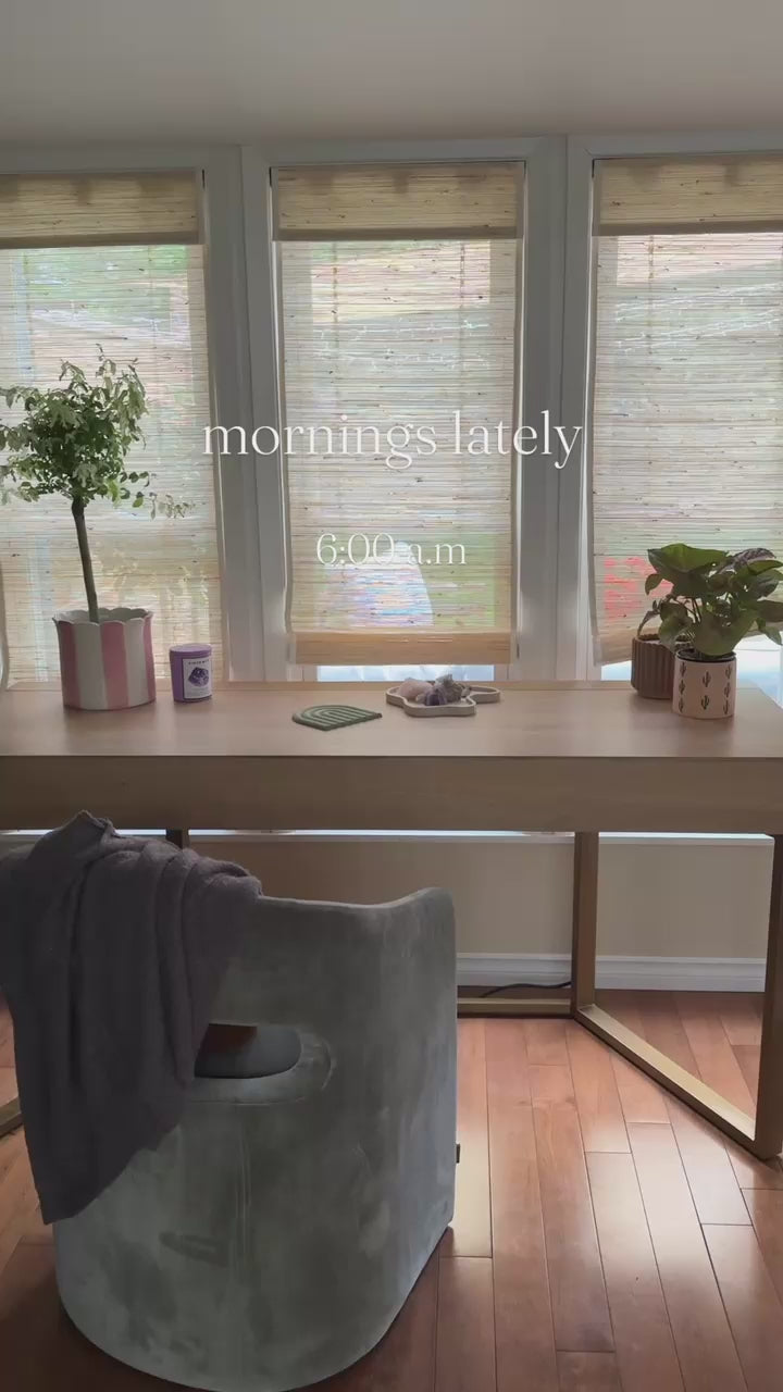 @romalyn.alpaz-desk (1)